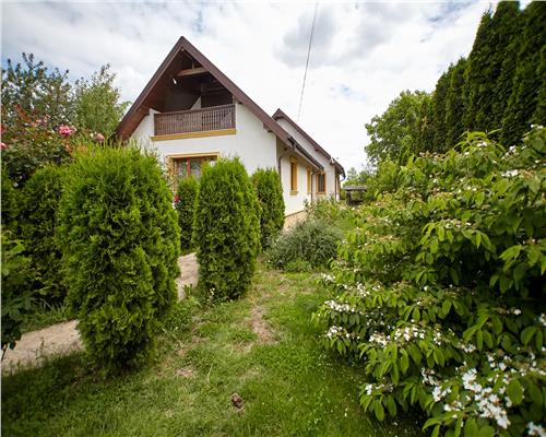 Casa in Aroneanu cu gradina superba, Garaj,,Beci,Livada si Foisor